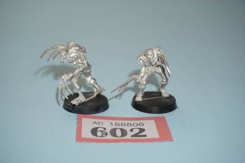 Necron flayed one - flayed, 2