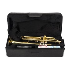 Bb Trumpet Brass -Brand New