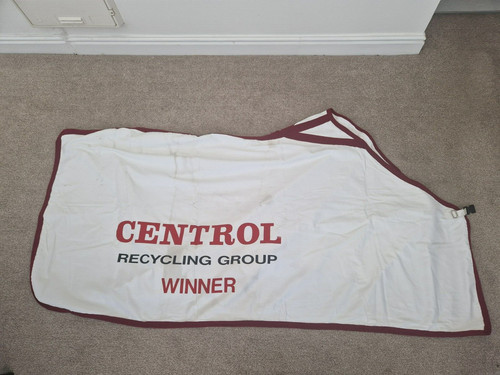 Horse racing centrol - horse,