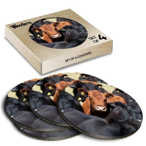 Round mdf coaster aberdeen - mdf,