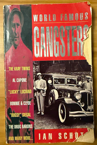 gangster books