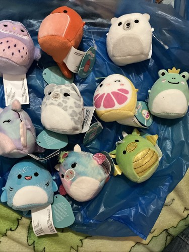 Squishmallows micromallows - squishmallows, &