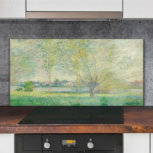 The willows kitchen cooker - the,