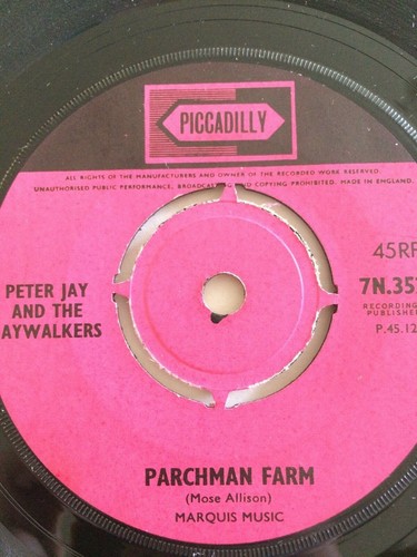 Peter jay and the - and,