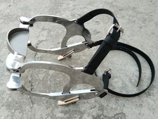 Equine Horse Dental Mouth