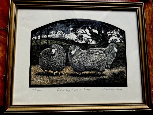 Samaraweera romney marsh - “romney,