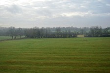 Photo 6x4 Fields and hedges