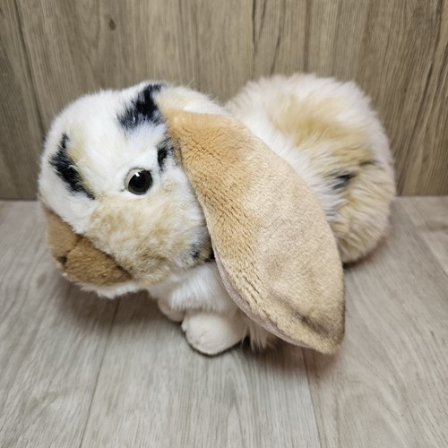 Living nature bunny rabbit - living,
