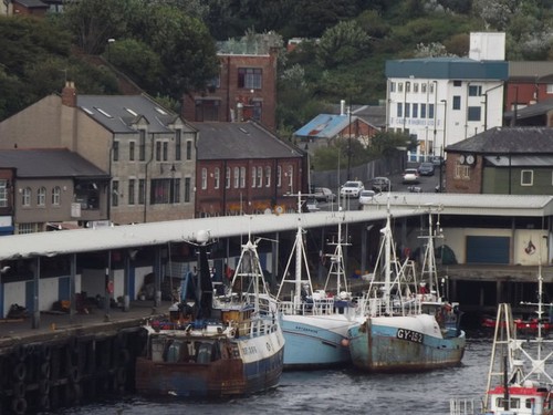 Photo union quay tynemouth - union,