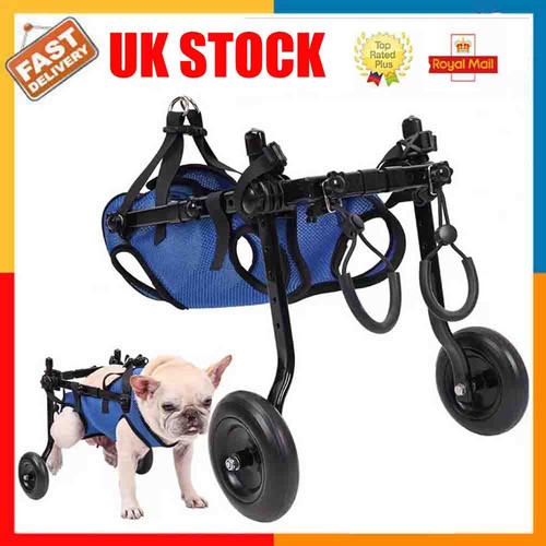 Pet rehabilitation walking - m,