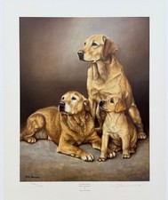 NIGEL HEMMING YELLOW LABRADOR
