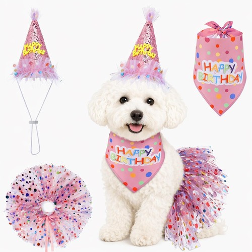 Dog birthday hat and bandana - dog,