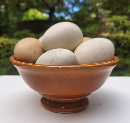 Spanish pottery trompe oeil - pottery,
