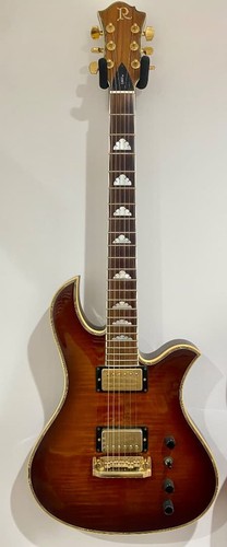 Rich eagle limited - b.c.rich,