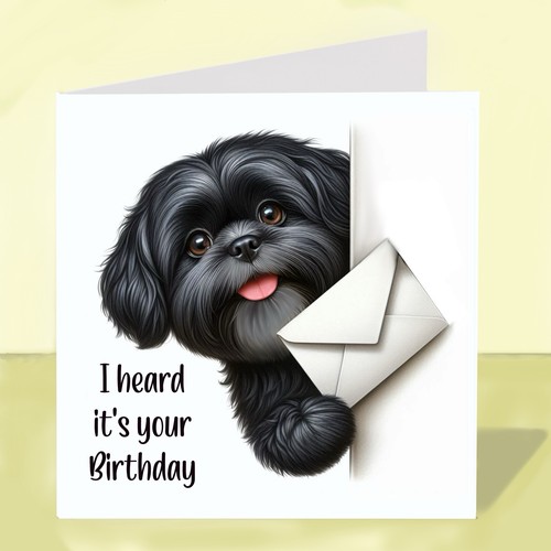 Shih tzu dog birthday - dog,
