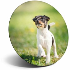 Awesome Fridge Magnet - Cute