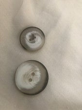 Large Grey and White Striking