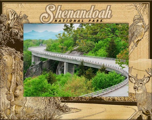 Shenandoah national park - shenandoah,