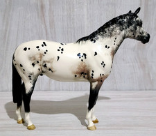 Beswick Appaloosa Stallion