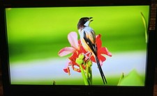 Toshiba 32-inch LCD HD TV With