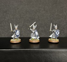 Games Workshop Lord of the Rings Knights Of Dol Amroth