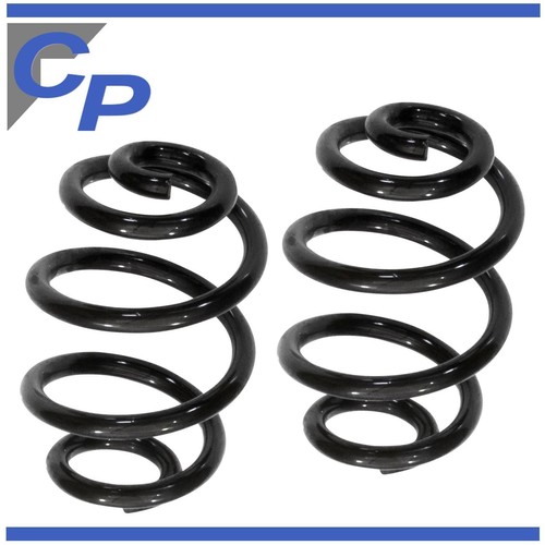 Rear springs for bmw - 2,