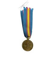 Irish Police Force Garda Siochana Millennium Miniature Medal