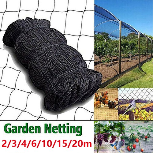 Anti bird netting - bird,