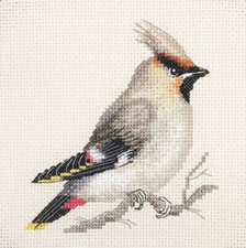 WAXWING  Bird - Full Counted