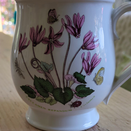 Portmeirion the botanical - the,