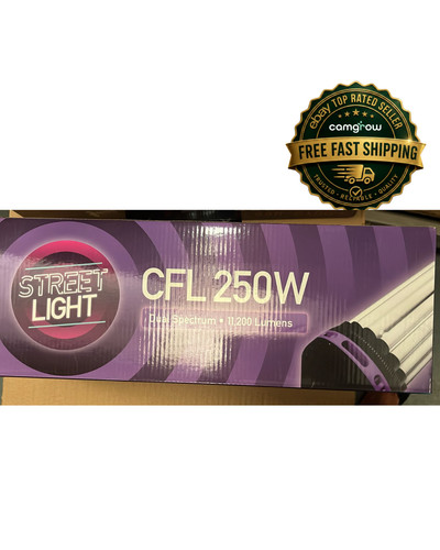 Street light dual spectrum - light,