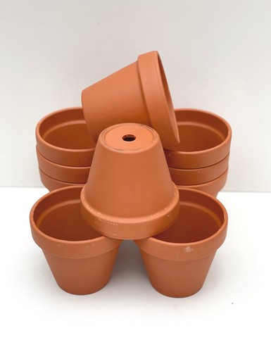 Traditional terracotta plant - terracotta,