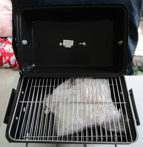 Never used portable outdoor - used,