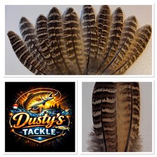 10 Hen Pheasant Wing Feathers