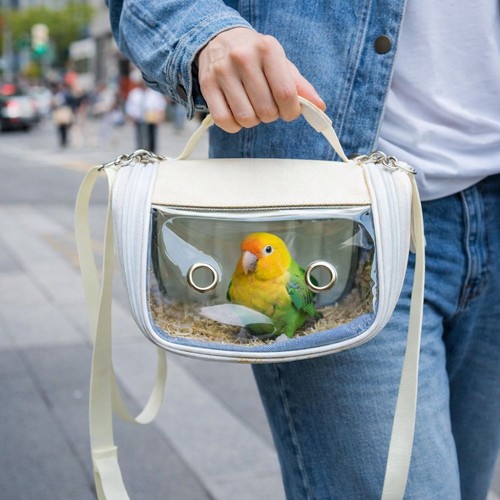 Portable bird transport cage - bird,