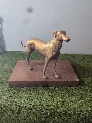 Brass greyhound statue - greyhound,