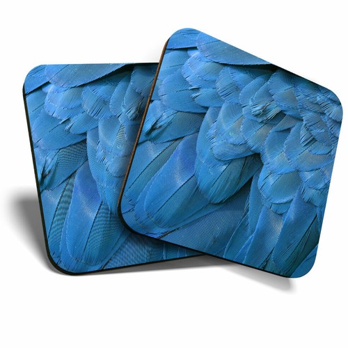 Coasters blue macaw - x,