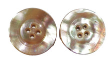 2 Abalone Shell Buttons