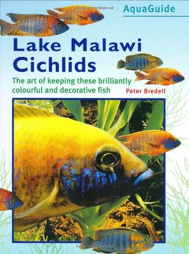 Lake malawi cichlids - malawi, (aqua