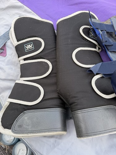 Equestrian horse travel boots - travel,