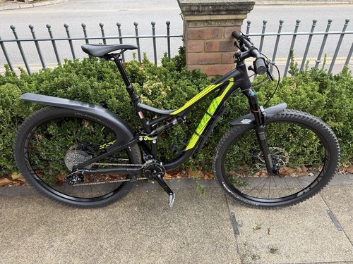 stumpjumper evo