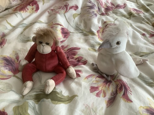 Beanie babies kuku the - ty,
