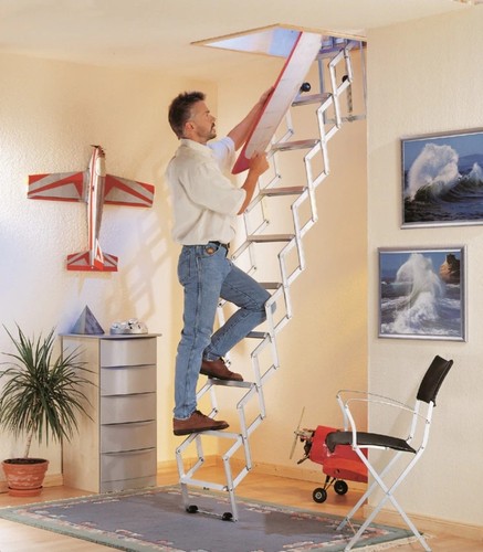 Loft ladder concentina - loft,