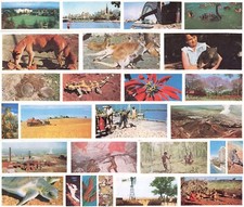 Australia Lyons Tea Cards -