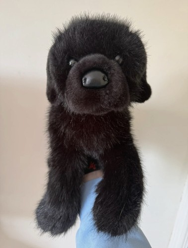 Douglas jake dlux black - douglas,