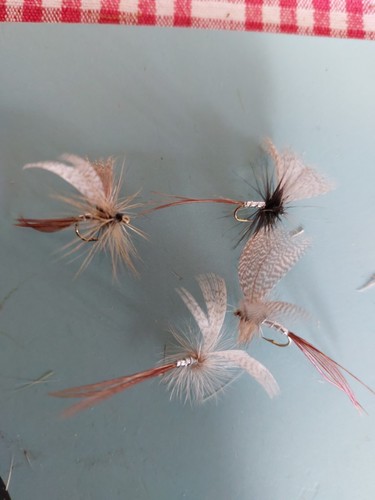White drake mayfly size - 14s, ×