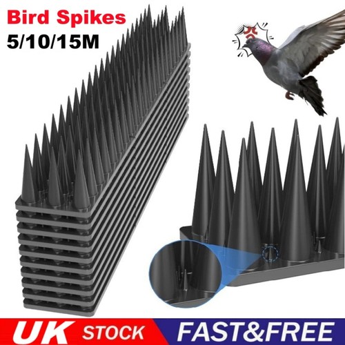 Fence wall spikes garden - fence,
