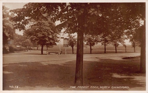 B388 england forest edge north - edge,