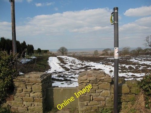 Photo 6x4 footpath through - photo,