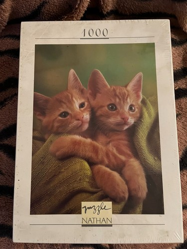 Ginger kittens shared - kittens,